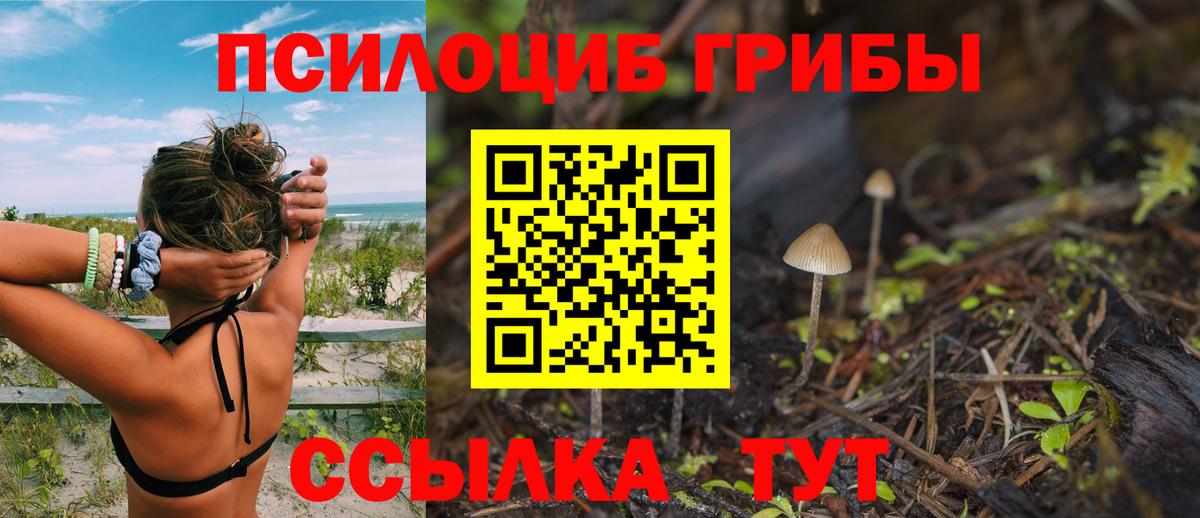 Галлюциногенные грибы MAGIC MUSHROOMS  Вход с VPN  Воткинск 